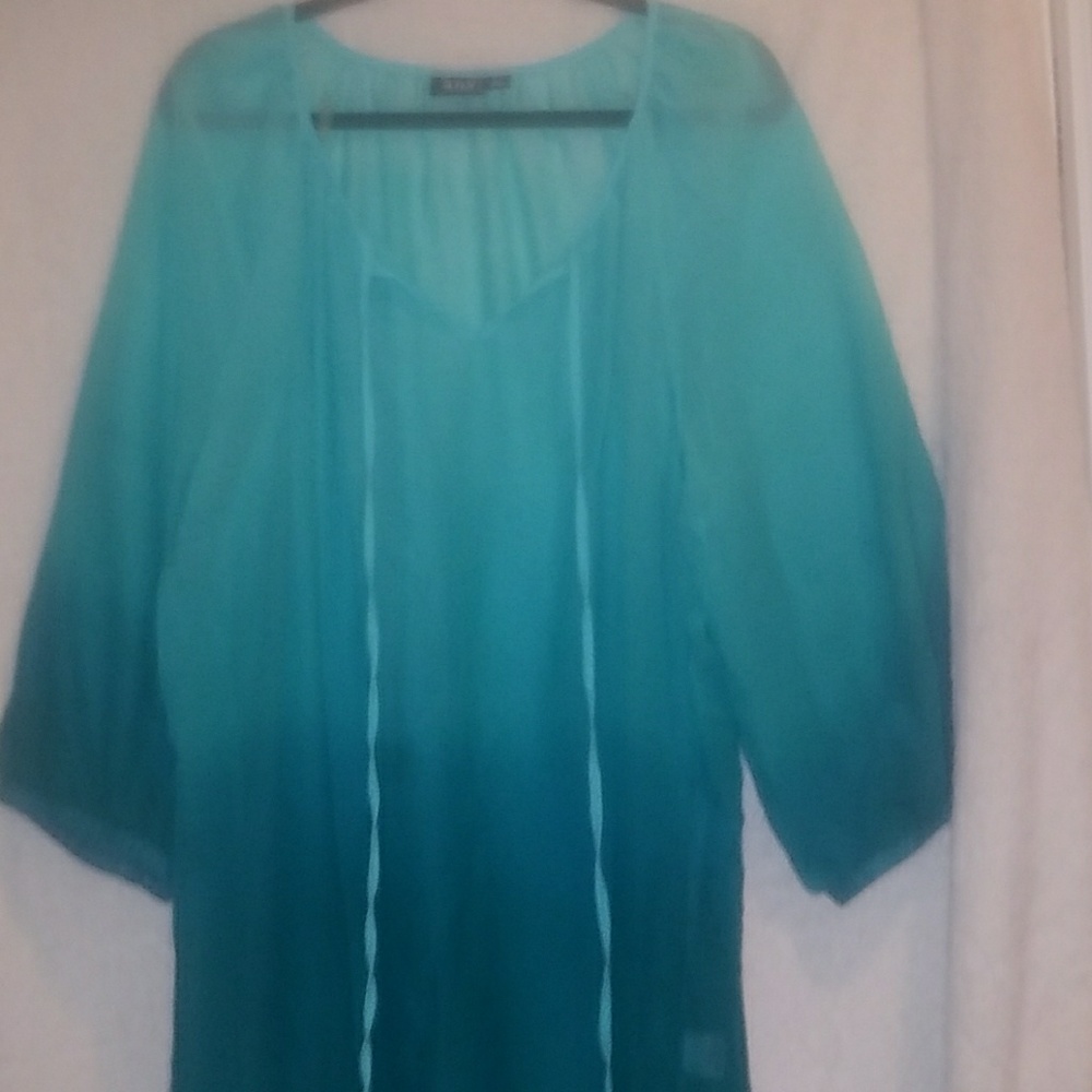 Sheer blouse